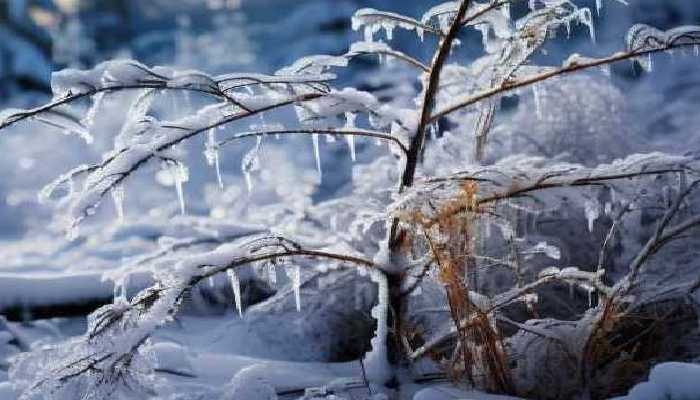 今日大雪寒冬始 请查收这份养生指南